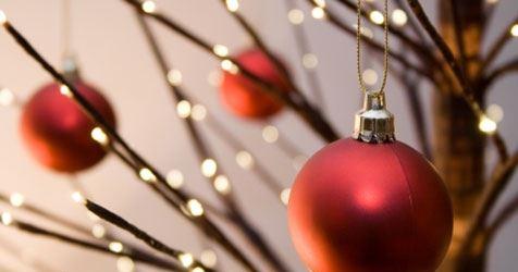 Lord Cardigan - Accommodation Kalgoorlie 21