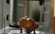 Yum Yum Peking Duck - thumb 6