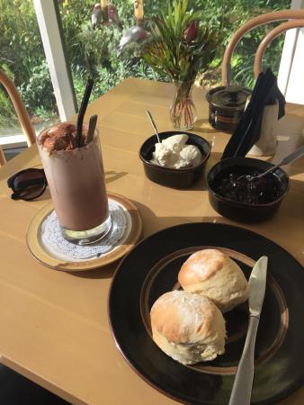 The Giddy Bullfrog Gallery - Accommodation Kalgoorlie 0
