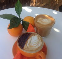 The Orange Tree - licensed cafe by the river - Accommodation Kalgoorlie