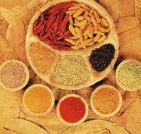 Tehzeeb Indian and Australian Restaurant - Accommodation Kalgoorlie
