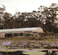 Abundance Cafe and Garden Centre - Accommodation Kalgoorlie