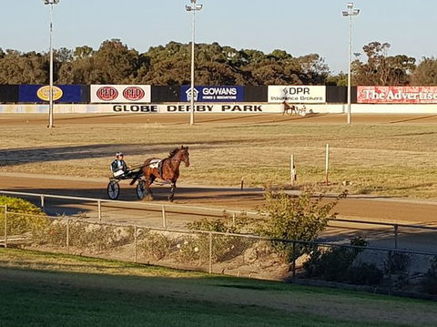 Paceway - Accommodation Kalgoorlie 0