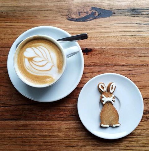 Little Green Corner - Accommodation Kalgoorlie 2