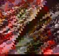 Cantina On Capri - Accommodation Kalgoorlie