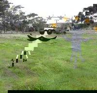 Heard it on the Grapevine - Accommodation Kalgoorlie