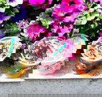 Starbucks - Mascot - Accommodation Kalgoorlie