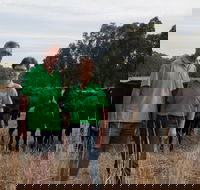Milawa Organic Beef - Accommodation Kalgoorlie