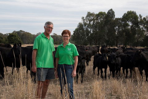 Milawa Organic Beef - Accommodation Kalgoorlie 0
