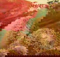 Shifu Dumpling Express - Accommodation Kalgoorlie