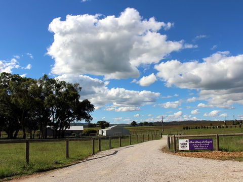 Short Sheep Micro-Winery - Accommodation Kalgoorlie 0