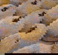 Miami Bakehouse Mandurah - Accommodation Kalgoorlie