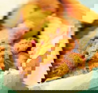 Mrs. Fields - Cockburn Gateway - Success - Accommodation Kalgoorlie