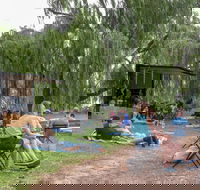 The Pop Inn by Wine Bar Co. - Accommodation Kalgoorlie