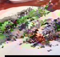 YaYa Bar and Eatery - Accommodation Kalgoorlie