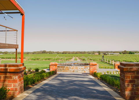 Calabria Family Wines Barossa - Accommodation Kalgoorlie 2