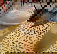 Jasmine Greens Park Kiosk - Accommodation Kalgoorlie