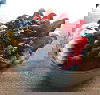 Green Remedy - Accommodation Kalgoorlie