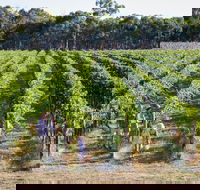 Weathercraft Wines - Accommodation Kalgoorlie