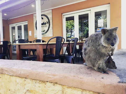 Frankie's On Rotto - Accommodation Kalgoorlie 1