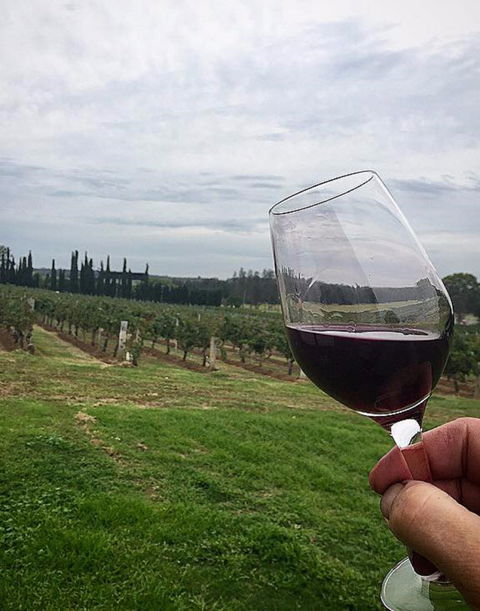 Lake's Folly Vineyard - Accommodation Kalgoorlie 2