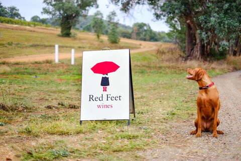 Red Feet Wines - Accommodation Kalgoorlie 2