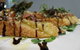 Alexander's Restaurant - thumb 0