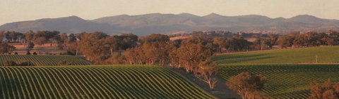 Angullong Cellar Door - Accommodation Kalgoorlie 1