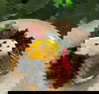 Nic and Kolo - Accommodation Kalgoorlie