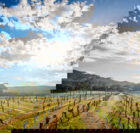 Fallen Giants Vineyard - Accommodation Kalgoorlie