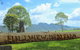 Hillview Herb Farm - thumb 0