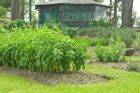 Hillview Herb Farm - Accommodation Kalgoorlie 2