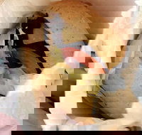 Post Office Cafe - Accommodation Kalgoorlie