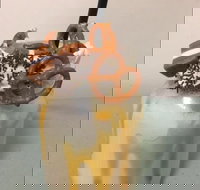 Where Ya Bean - Accommodation Kalgoorlie