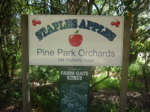 Staples Apples - Accommodation Kalgoorlie 2