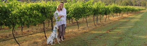 Greenway Wines - Accommodation Kalgoorlie 1