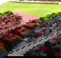 That Food Truck - Accommodation Kalgoorlie