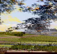 Wynwood Estate - Accommodation Kalgoorlie