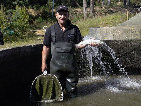 41 Degrees South Tasmania - Accommodation Kalgoorlie 0