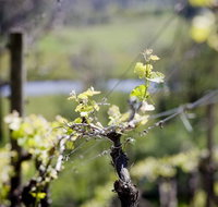 Barrgowan Vineyard - Accommodation Kalgoorlie