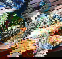 Luxe Fish - Accommodation Kalgoorlie