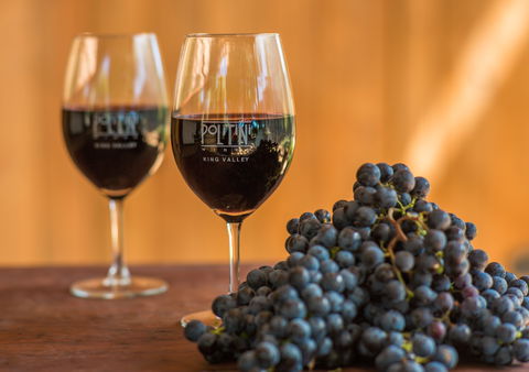 Politini Wines - Accommodation Kalgoorlie 0