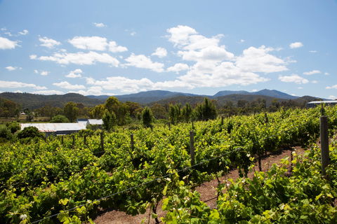 Politini Wines - Accommodation Kalgoorlie 1