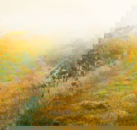 Poonawatta - Accommodation Kalgoorlie