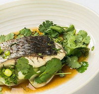 The Mossy Cafe - Accommodation Kalgoorlie