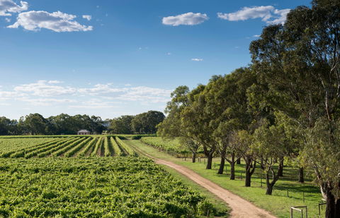 Bleasdale Vineyards - Accommodation Kalgoorlie 1