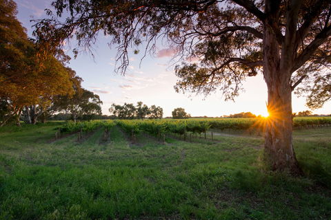 Bleasdale Vineyards - Accommodation Kalgoorlie 2
