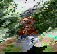 Cherryhill Orchards - Accommodation Kalgoorlie