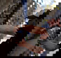 Wild Hop Brewing Company