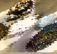 Frollicking Frog - Accommodation Kalgoorlie